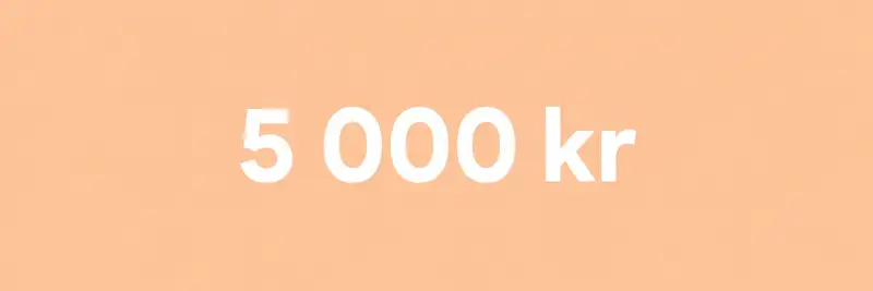 Max 5 000 kr per person