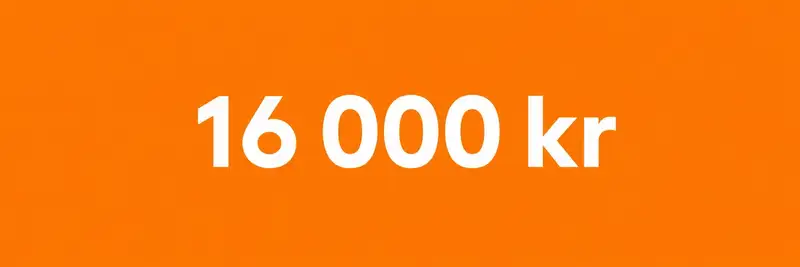 Max 16 000 kr per person
